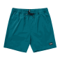 Preview: 35107-250345-brand-swimshorts-teal-1