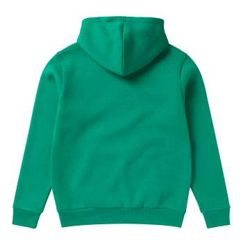 35104.230131-icon-hood-sweat-bright-green-2